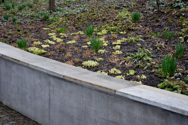Concrete Wall Construction in Easton