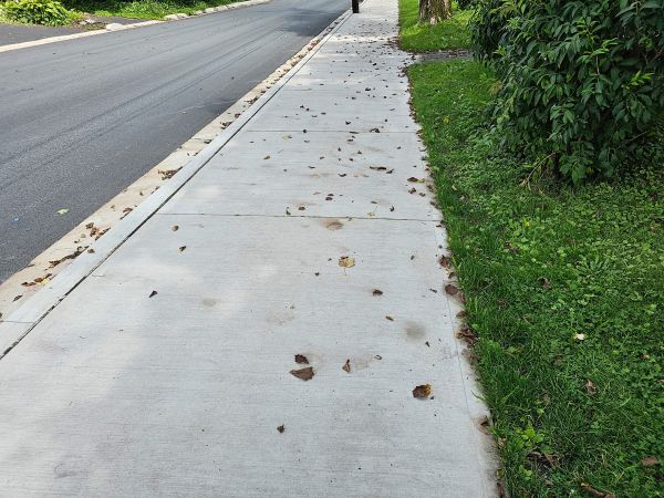 Sidewalk Renovation in Easton