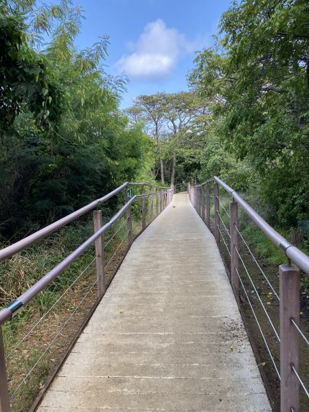 Footpath Construction in Easton
