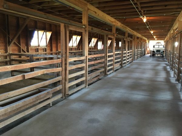 Barn Slab Construction in Easton