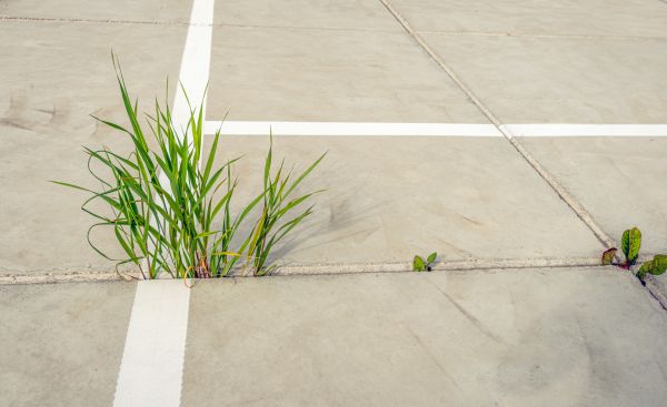 Concrete Parking Installation in Easton